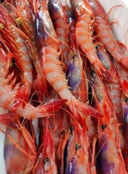 Carpaccio de Alistado 60 g